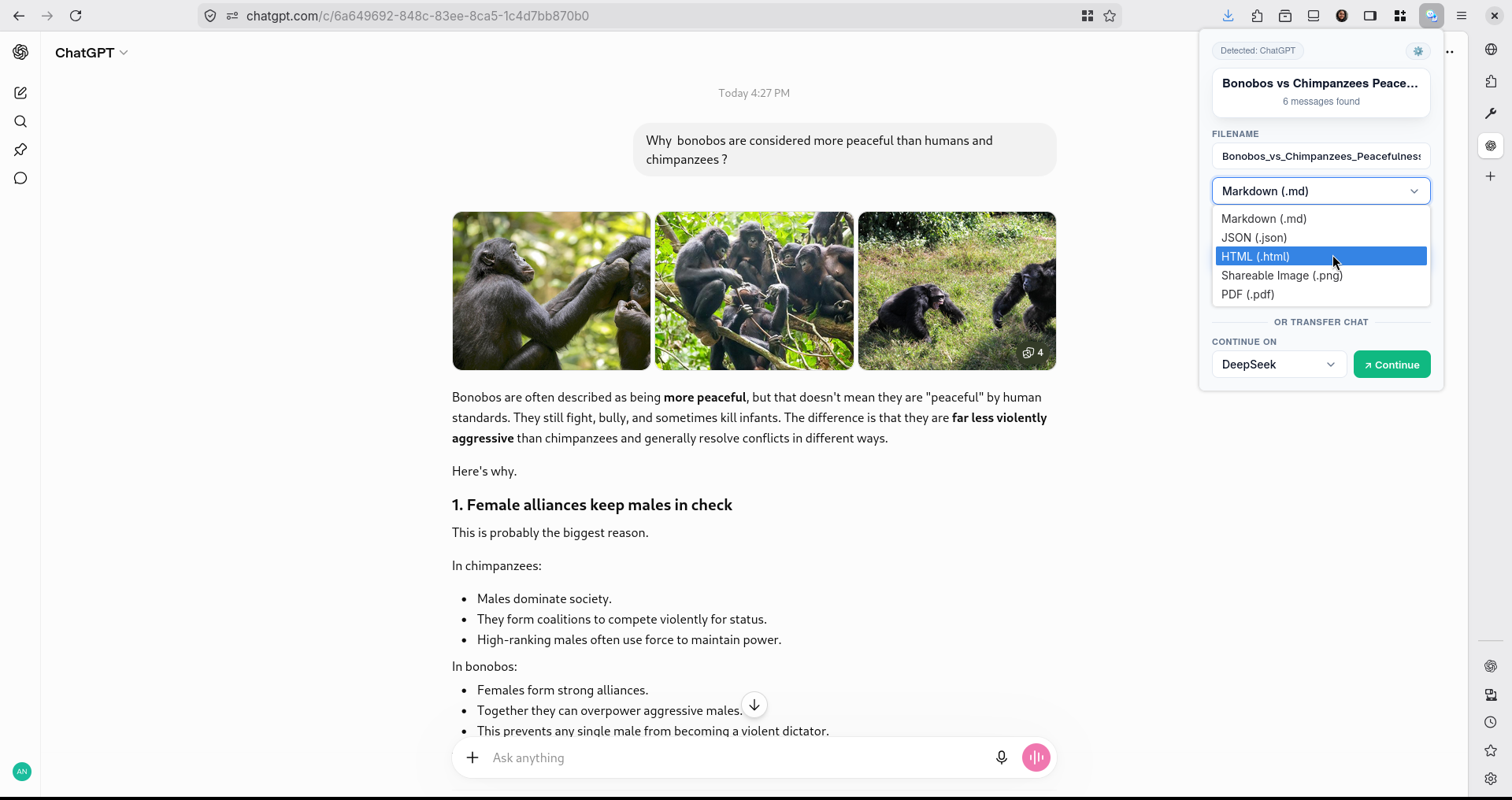 Format Selection in Popup UI